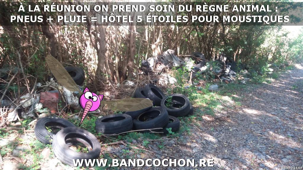 Image from princessefraise