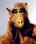 Avatar of Alf