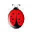 Avatar coccinelle97450