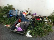 Picture of kaloupile
