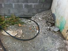 Picture of kaloupile