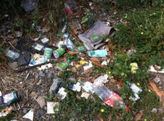 Picture of kaloupile