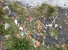 Picture of kaloupile