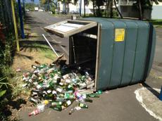 Picture of kaloupile
