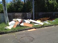 Picture of kaloupile