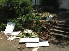 Picture of kaloupile