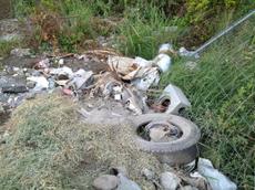 Picture of kaloupile