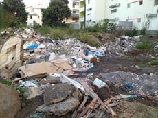 Picture of kaloupile