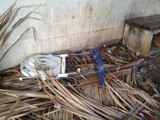 Picture of kaloupile