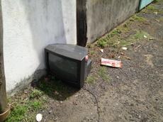 Picture of kaloupile