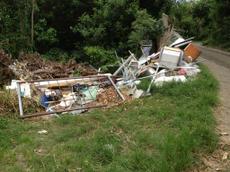 Picture of kaloupile