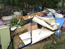 Picture of kaloupile