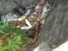 Picture of kaloupile