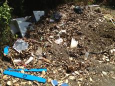 Picture of kaloupile