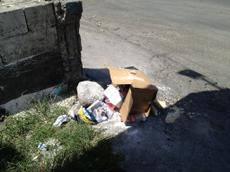 Picture of kaloupile