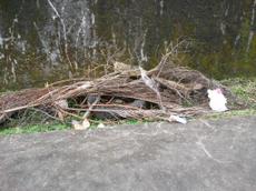 Picture of mobiman