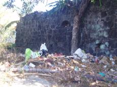 Picture of aulet