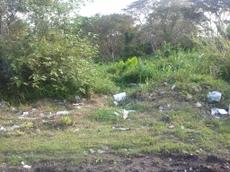 Picture of mobiman