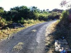 Picture of doremi974