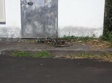 Picture of mobiman