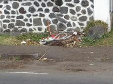 Picture of mobiman
