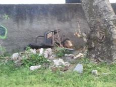 Picture of mobiman