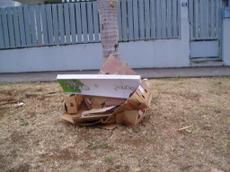 Picture of aulet