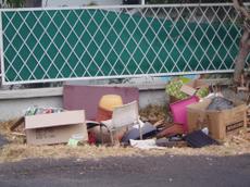 Picture of aulet