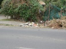 Picture of mobiman