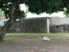 Picture of mobiman