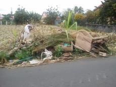 Picture of mobiman