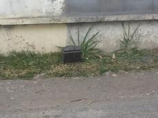 Picture of mobiman