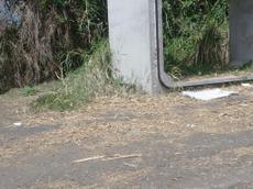 Picture of mobiman