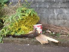 Picture of mobiman