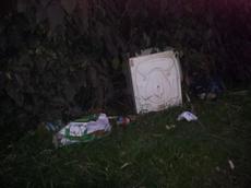 Picture of venere