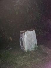 Picture of venere