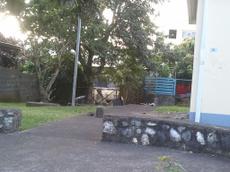 Picture of mobiman