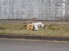 Picture of mobiman