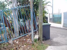 Picture of aulet