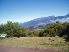 Picture of aulet