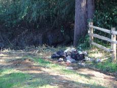 Picture of aulet