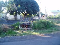 Picture of aulet