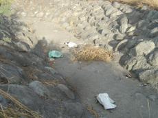 Picture of moriano