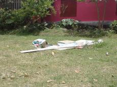 Picture of mobiman