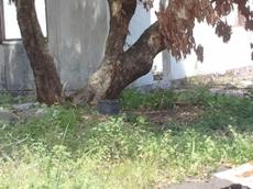 Picture of mobiman
