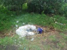 Picture of aulet