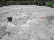 Picture of yan