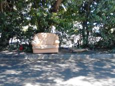 Picture of venere