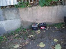 Picture of aulet