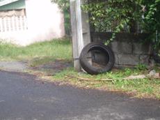 Picture of aulet